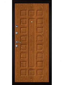 Дверь эконом: порошок цвет Медный антик + МДФ цвет Дуб золотой ЭК-2051